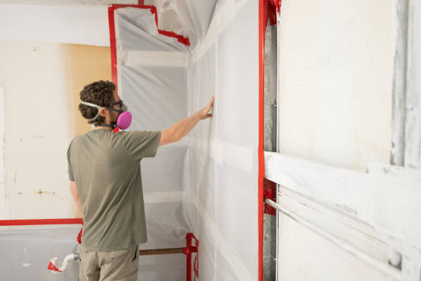 Environmental Consulting for Mold Prevention in Calwa, CA